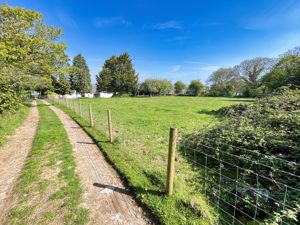 Photo 19- click for photo gallery